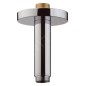 Hansgrohe Raindance Classic - Alimentation depuis plafond 100 mm, chrome 27418000