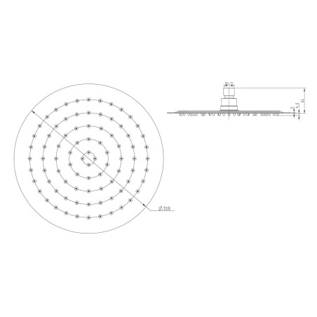 Sapho Slim - Douche de tête, diamètre 250 mm, inox poli MS574
