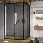 Ravak Blix Slim - Porte de douche, 800x1950 mm, noir/verre clair X1XM40300Z1 Ravak Blix Slim - Porte de douche, 800x1950 mm, noir/verre clair X1XM40300Z1