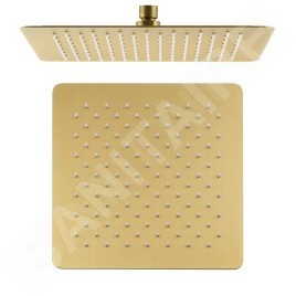 Sapho Slim - Douche de tête 300x300 mm, doré SL101GB