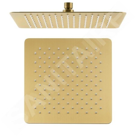 Sapho Slim - Douche de tête 300x300 mm, doré SL101GB