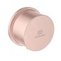 Ideal Standard Idealrain - Support mural, rosé BC808RO