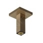 Hansgrohe Accessoires - Bras de douche de plafond, 11 mm, bronze brossé 24338140