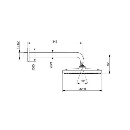 Hansa Viva - Douche de tête, diamètre 25 cm, chrome 44260200