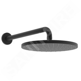 Hansa Viva - Douche de tête, diamètre 25 mm, noir mat 4426020033