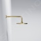 Steinberg 340 - Douche de tête, 22 cm, or brossé 340 1686 BG