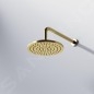 Steinberg 340 - Douche de tête, 22 cm, or brossé 340 1686 BG