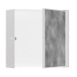 Hansgrohe XtraStoris Rock - Niche murale, avec porte, 300x300x140 mm, blanc mat 56091700