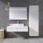 Ravak Formy - Armoire suspendue 460x270x1600 mm, blanc X000001260
