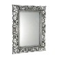 Sapho Scule - Miroir en cadre, 70 x 100 cm, argent IN156 Sapho Scule - Miroir en cadre, 70 x 100 cm, argent IN156