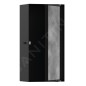 Hansgrohe XtraStoris Rock - Niche murale, avec porte, 300x150x100 mm, noir mat 56082670