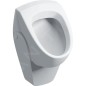 Geberit Urinoirs - Urinoir Selnova, alimentation arrière, blanc 500.344.01.1