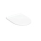 Geberit Acanto - Siège WC, SoftClose, gris brillant 502.719.01.1