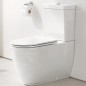 Grohe Essence - Cuvette WC à poser, sans bride, PureGuard, blanc alpin 3957200H