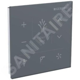 Geberit AquaClean - Tableau de commande pour bidet électronique, noir 147.038.SJ.1