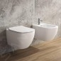 Ideal Standard ProSys - Ensemble pour WC suspendu, cuvette et abattant Tesi, Plaque de déclenchement Oleas M1, Rimless,