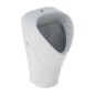 Geberit Selnova - Urinoir Trigonal, arrivée par dessus, blanc 501.676.00.1