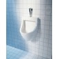 Duravit Starck 3 - Urinoir, alimentation d’eau arrière, blanc 0821350000 Duravit Starck 3 - Urinoir, alimentation d’eau arrière, blanc 0821350000