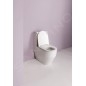 Laufen Pro - Ensemble complet de WC sur pied combiné, évacuation arrière/inférieur, SoftClose, blanc H8679530009701