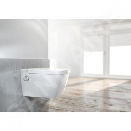 Ideal Standard ProSys - Ensemble pour WC suspendu, WC japonais et abattant TECEone, Plaque de déclenchement Oleas M2, Rimless,