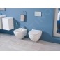 Ideal Standard ProSys - Ensemble pour WC suspendu, cuvette et abattant Mio, Plaque de déclenchement Oleas M2, Rimless,