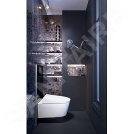 Geberit AquaClean - Plaque de recouvrement avec commande intégrée pour toilettes complètes, verre / noir 115.328.SJ.1