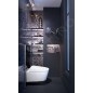 Geberit AquaClean - Plaque de recouvrement avec commande intégrée pour toilettes complètes, verre / noir 115.328.SJ.1