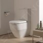 Laufen Pro - Cuvette WC combinée à poser, 650x360 mm, évacuation arrière/bas, blanc H8259520000001