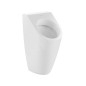 Villeroy & Boch Architectura - Urinoir à action siphonique, alimentation arrière, CeramicPlus, blanc alpin 558600R1 Villeroy & Boch Architectura - Urinoir à action siphonique, alimentation arrière, CeramicPlus, blanc alpin 558600R1