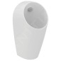 Ideal Standard Sphero - Urinoir, alimentation arrière, Rimless, blanc E183201 Ideal Standard Sphero - Urinoir, alimentation arrière, Rimless, blanc E183201