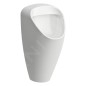 Laufen Caprino - Urinoir électronique Plus, alimentation arrière, Rimless, anti-vandalisme, blanc H8410650004011