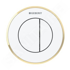Geberit Systèmes de chasse d’eau - Commande à distance de chasse d'eau type 10, 2 actions, pour réservoir de chasse encastré 8