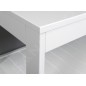 Aqualine Etide - Rayonnage 610x455x360 mm, blanc mat ET061
