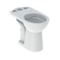 Geberit Selnova Comfort - Cuvette à poser, sortie arrière, Rimfree, blanc 500.486.01.7
