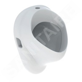Geberit Urinoirs - Urinoir, arrivée d'eau par le haut, blanc 502.885.00.1