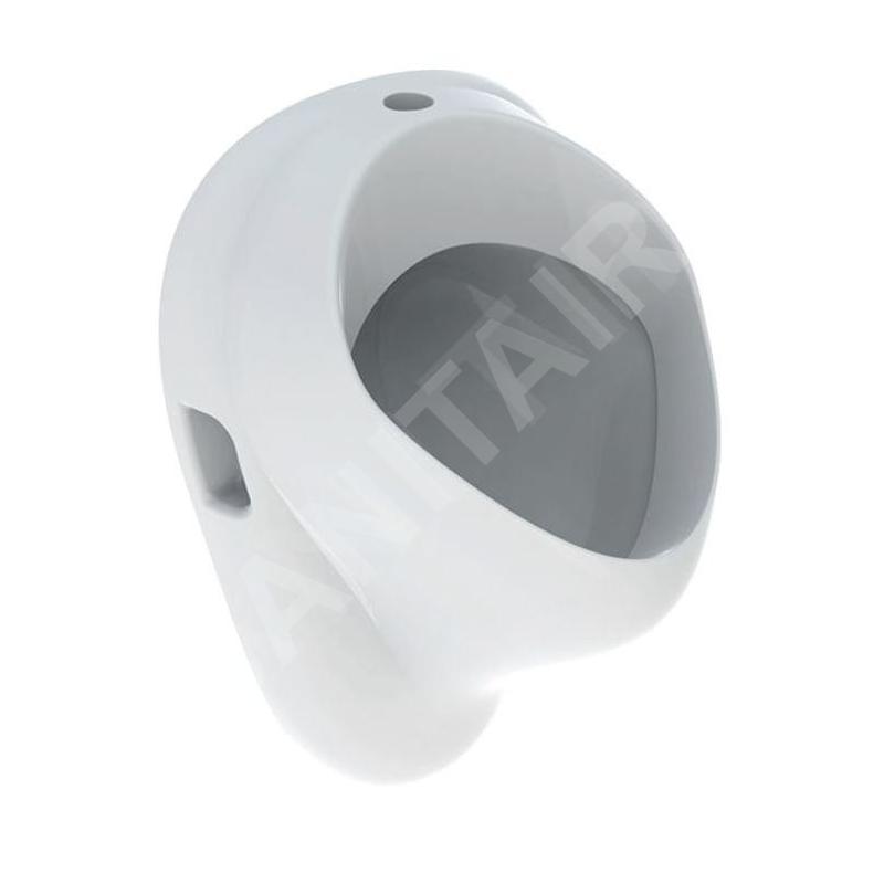 Geberit Urinoirs - Urinoir, arrivée d'eau par le haut, blanc 502.885.00.1 Geberit Urinoirs - Urinoir, arrivée d'eau par le haut, blanc 502.885.00.1