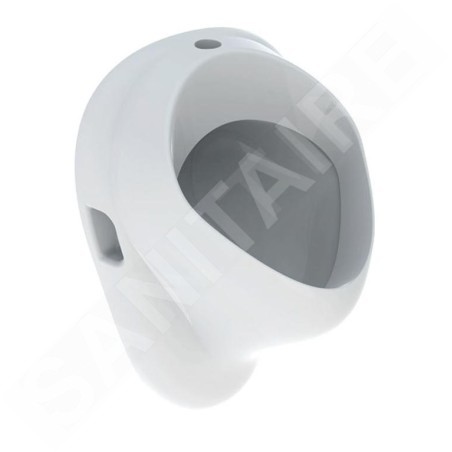 Geberit Urinoirs - Urinoir, arrivée d'eau par le haut, blanc 502.885.00.1