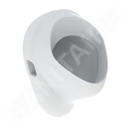 Geberit Urinoirs - Urinoir, arrivée d'eau arrière, blanc 502.895.00.1