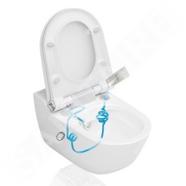 Laufen Accessoires - Kit de détartrage, filtre à charbon pour Cleanet Riva H8916970000001