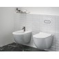 Ravak Eleganta - Mitigeur de bidet, graphite brossé X070332