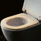 Villeroy & Boch ViClean - WC lavant, Rimless, CeramicPlus, SoftClosing, blanc alpin V0E200R1 Villeroy & Boch ViClean - WC lavant, Rimless, CeramicPlus, SoftClosing, blanc alpin V0E200R1