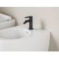 Ravak Chrome II - Mitigeur de bidet, noir X070465