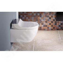 Geberit AquaClean - Abattant de bidet Tuma Comfort, SoftClosing, inox brossé 146.272.FW.1