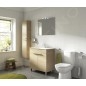 Ideal Standard IOM - balayette de WC avec support, inox A9128MY