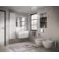 Ideal Standard IOM - balayette de WC avec support, inox A9128MY