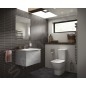 Ideal Standard IOM - balayette de WC à poser, inox A9108MY