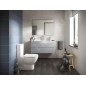 Ideal Standard IOM - balayette de WC à poser, inox A9108MY