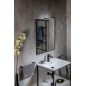 Sapho Miroirs - Miroir Arowana dans un cadre, 600x800 mm, noir mat AWB6080 Sapho Miroirs - Miroir Arowana dans un cadre, 600x800 mm, noir mat AWB6080