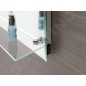 Aqualine Accessoires - Miroir avec éclairage LED, 600x800 mm, tablette en verre ATH53