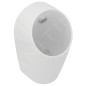 Ideal Standard Sphero - Urinoir, alimentation arrière, Rimless, blanc E183101 Ideal Standard Sphero - Urinoir, alimentation arrière, Rimless, blanc E183101